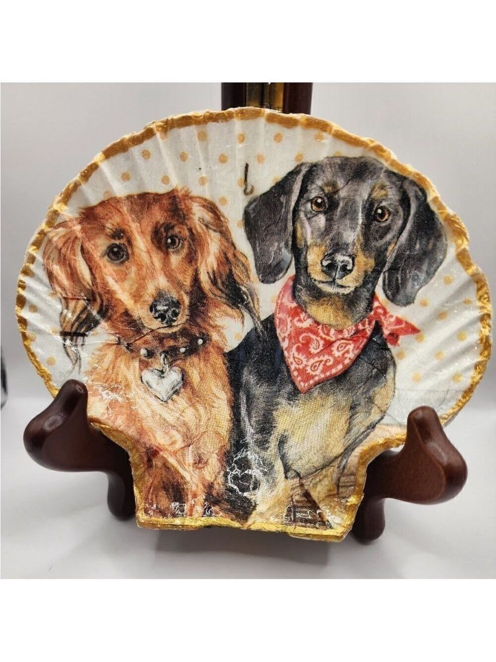 SCALLOPED FAN SHELL 